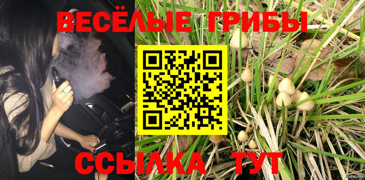 купить наркоту  Вход с VPN  Знаменск  Галлюциногенные грибы ЛСД 