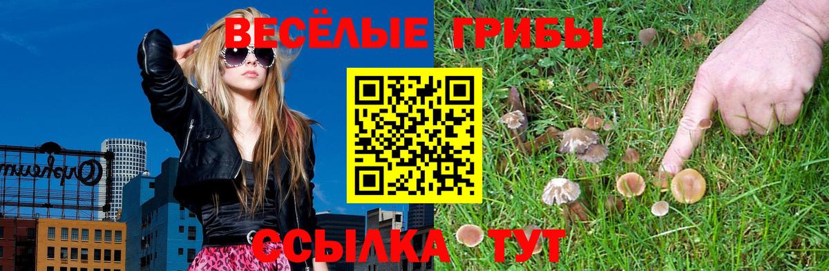 Псилоцибиновые грибы MAGIC MUSHROOMS Знаменск